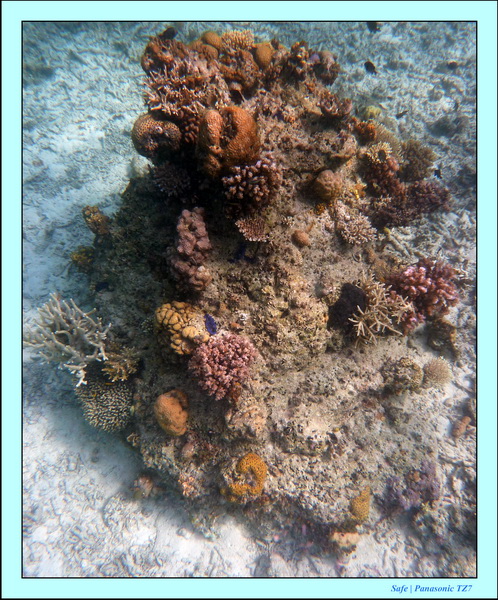 209   07   Sibuan 05